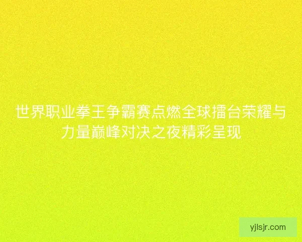 世界职业拳王争霸赛点燃全球擂台荣耀与力量巅峰对决之夜精彩呈现