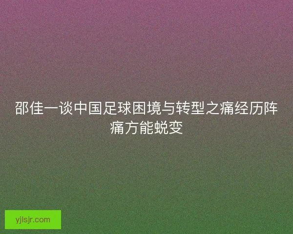 邵佳一谈中国足球困境与转型之痛经历阵痛方能蜕变 邵佳一谈中国足球困境与转型之痛经历阵痛方能蜕变